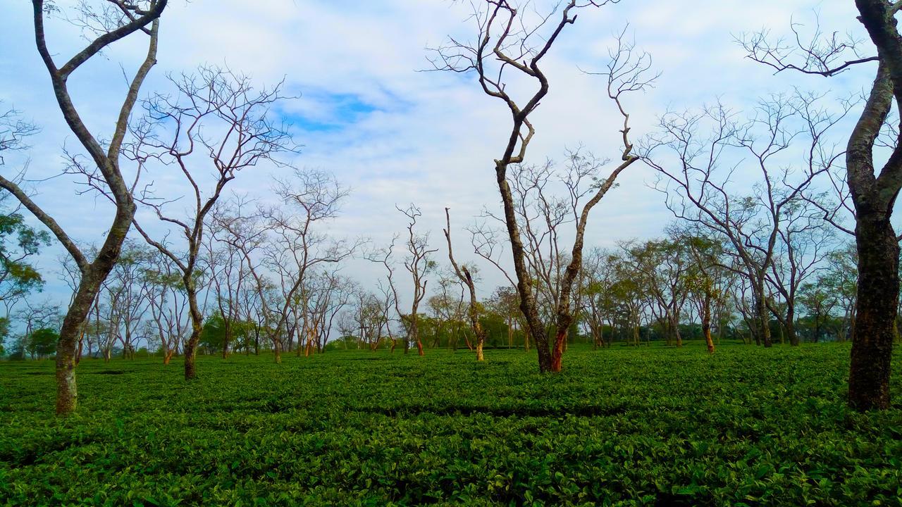 Kaziranga Golf Resort Jorhat Exterior photo