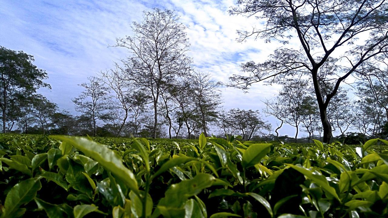 Kaziranga Golf Resort Jorhat Exterior photo